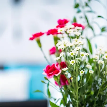 Myflat Diamond Bay Шиофок